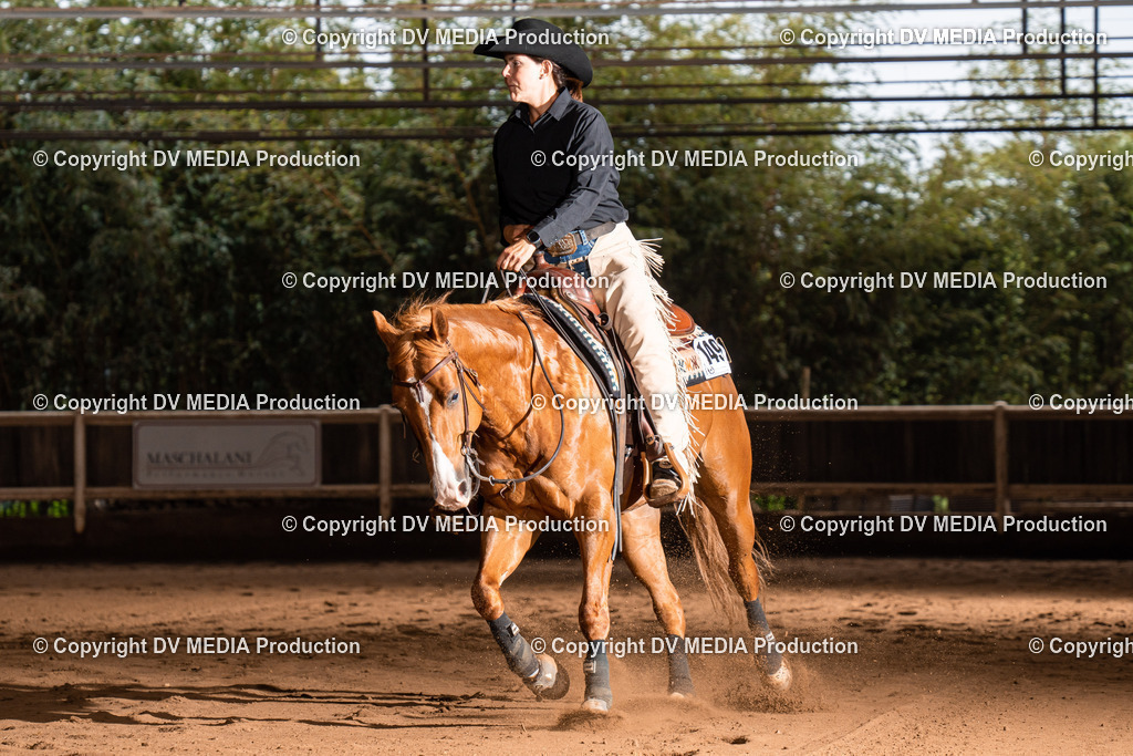 Erbach Tag 2-945 | dv-media-shop - Realisiert mit Pictrs.com