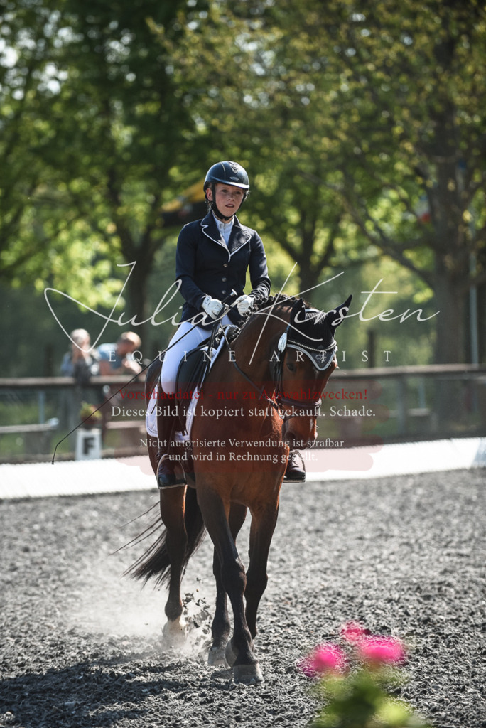 DSC_8895 | Pferde- und Turnierfotografie in Westsachsen. Pferdeportraits, Auftragszeichnungen und intuitive Kunst.