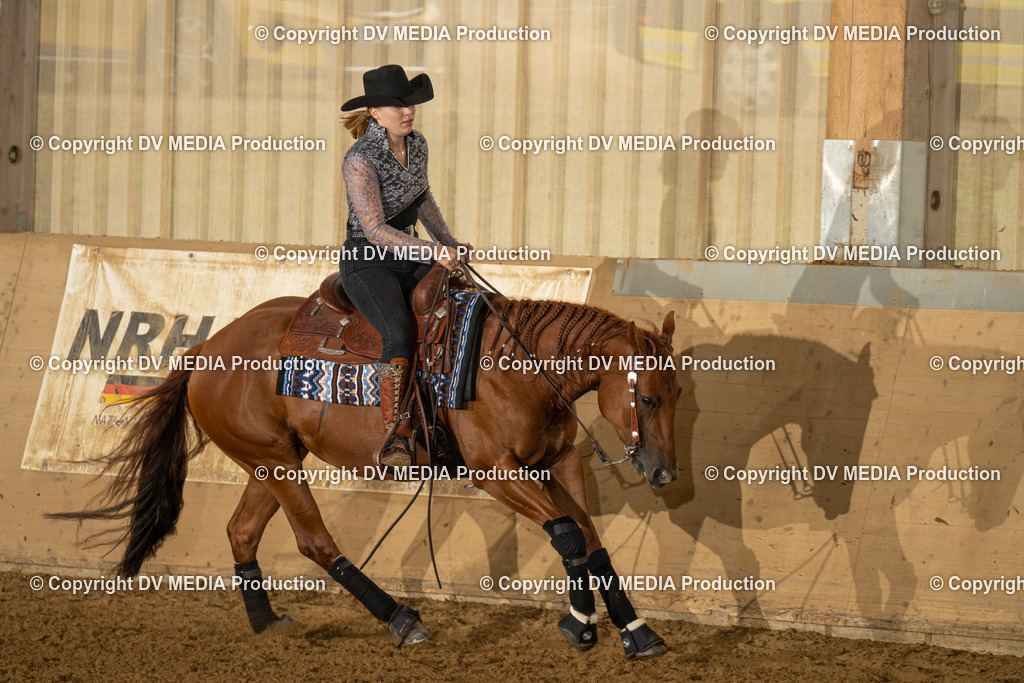 LAU00925 | dv-media-shop - Realisiert mit Pictrs.com