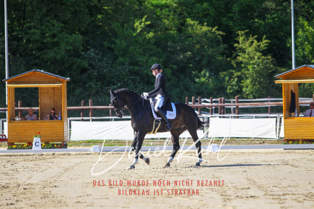 DKP42576 | Turniersportfotografie; Pferdefotografie; Dressurfotografie
