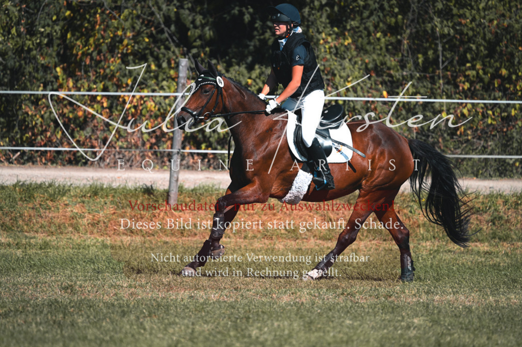 DSC_7855 | Pferde- und Turnierfotografie in Westsachsen. Pferdeportraits, Auftragszeichnungen und intuitive Kunst.