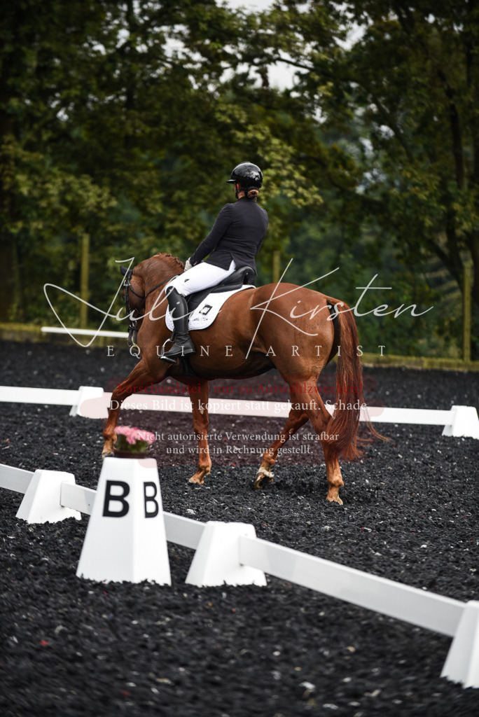 DSC_2898 | Pferde- und Turnierfotografie in Westsachsen. Pferdeportraits, Auftragszeichnungen und intuitive Kunst.