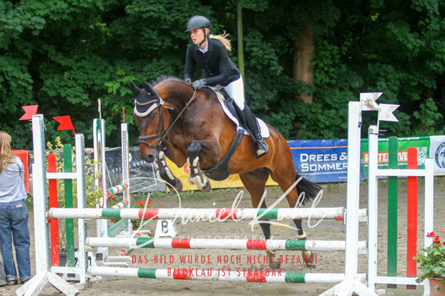 DKP44988 | Turniersportfotografie; Pferdefotografie; Dressurfotografie