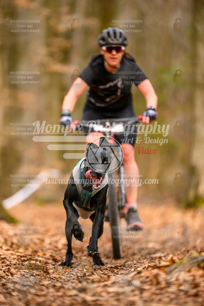 MompixPhotography_Habay2025_SA_Bike-85 | mompixphotography