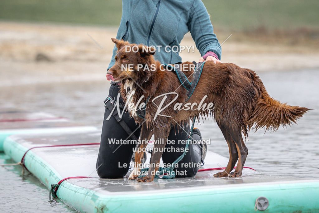 nelerasche_Hulsbeek_Sa1030-1100_09 | nelerasche