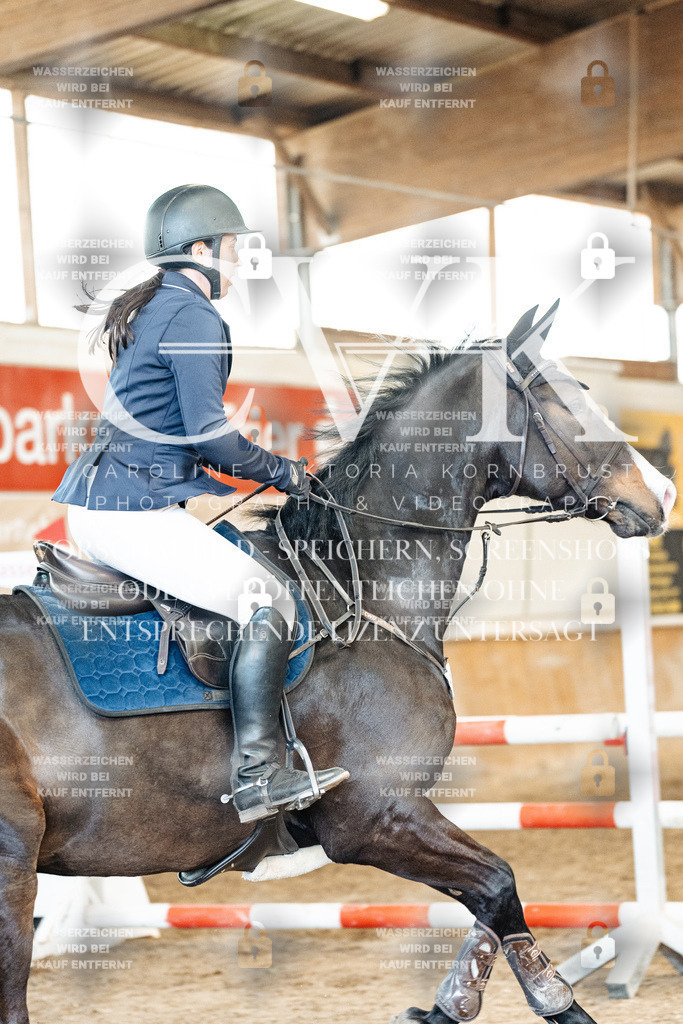 CK905087 | Turnierfotografie Pferdefotografie Trier Rheinland-Pfalz Pferdesport Reitsport Tierfotografie Sportfotografie Pferdevideo Pferdevideografie Equestrianvideography equestrianphotography  - Realized with Pictrs.com
