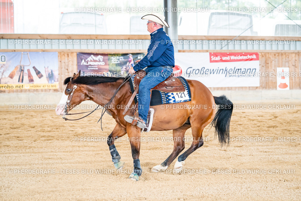 DSC04857 | Pferdegrafie