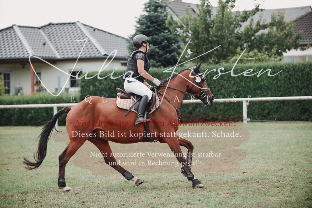 DSC_5716 | Pferde- und Turnierfotografie in Westsachsen. Pferdeportraits, Auftragszeichnungen und intuitive Kunst.