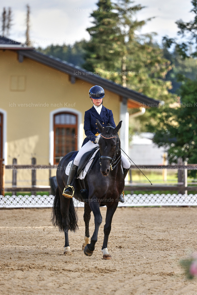 10-033-ST.GEORG SPECIAL -StoibPH-3134 | working equitationturnier fotograf videograf stoibphotography marixx film working equitation deutschland reitsport turnierfotografie eventfotografie equestrian events