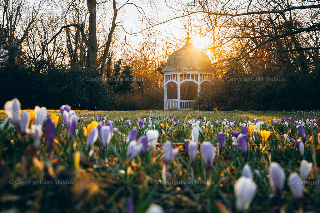 _DSC0442 | Leipzig Wandbilder Drucke Prints Leinwand Stadtmotive Leipzig Fotosdruck Kunstdrucke Bilder Leipzig Stadtansichten Acrylglasbilder Leipzig Wanddeko Fine Art Prints Wandbilder Büro Leipzig Bilder Praxis Zuhause Bilderdruck Poster Posterlounge Kunstdrucke - Realisiert mit Pictrs.com