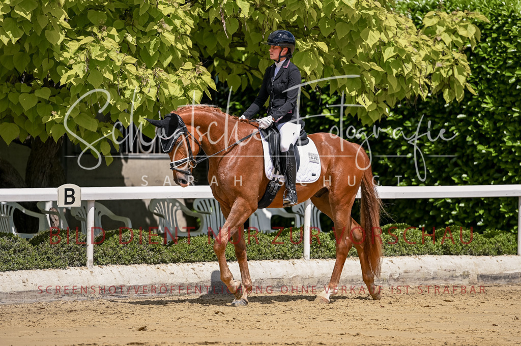 Schugtsche-Aluta25-48.Reitpferfdeprf.-256 | Schugtsche Fotografie - Realizzato con Pictrs.com