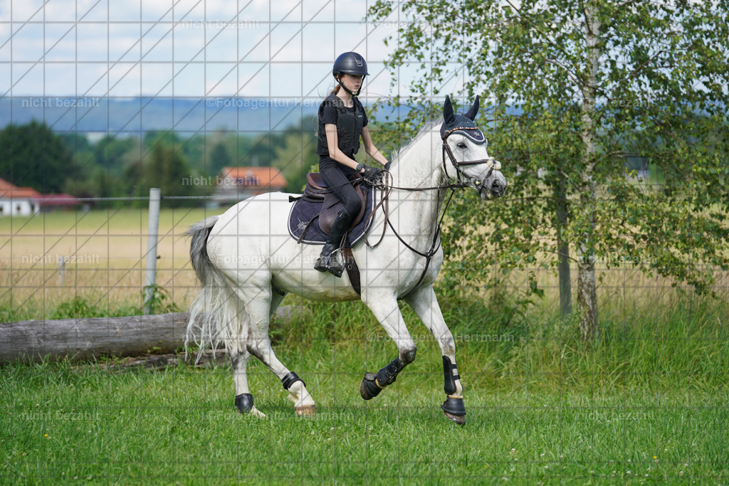 20240622-FAH07914 | Turnierfotografen Bayern, Reitsportbilder aus dem Geländekurs mit Felix Etzel auf dem Gut Waitzacker 2024