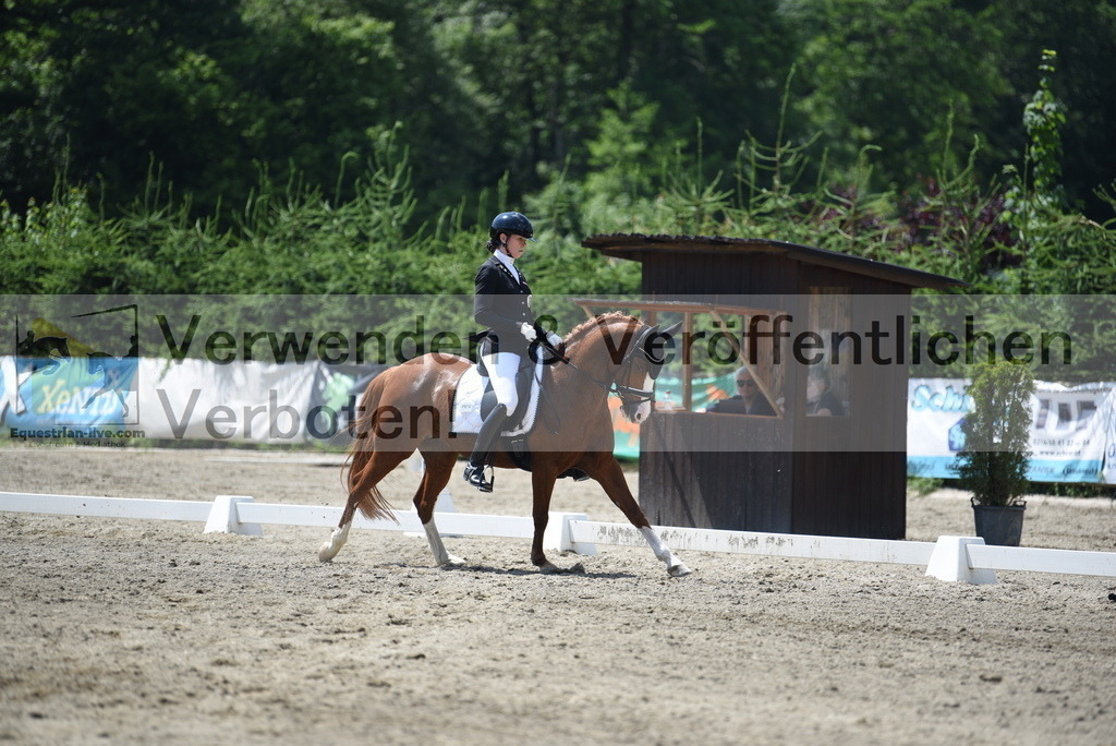 DSC_1164 | equestrian-live-com