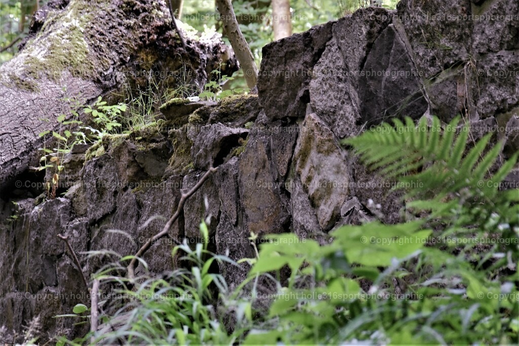 DSC_0028 (2) | Sportfotografie , Motorsport, Motoross, Reitsport, Mointainbike, Enduro,
Landschaft , Outdoor, Eventfotografie, Landschaft, Bilder online bestellen - Realisiert mit Pictrs.com