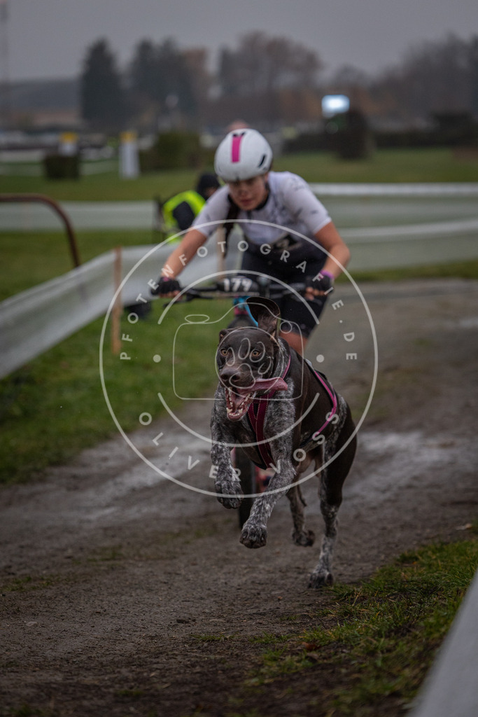 CaniXpix_0L8A0398 | Hundefotografie, Tierfotograf, Pfotenfotografie, Fotoshooting Hund, Hunde Portrait, Hundesport, Hundeportraits, Heideshooting, Hunde, Sportfotograf, Hundefotograf, Turnierhundsport, THS,  - Realisiert mit Pictrs.com