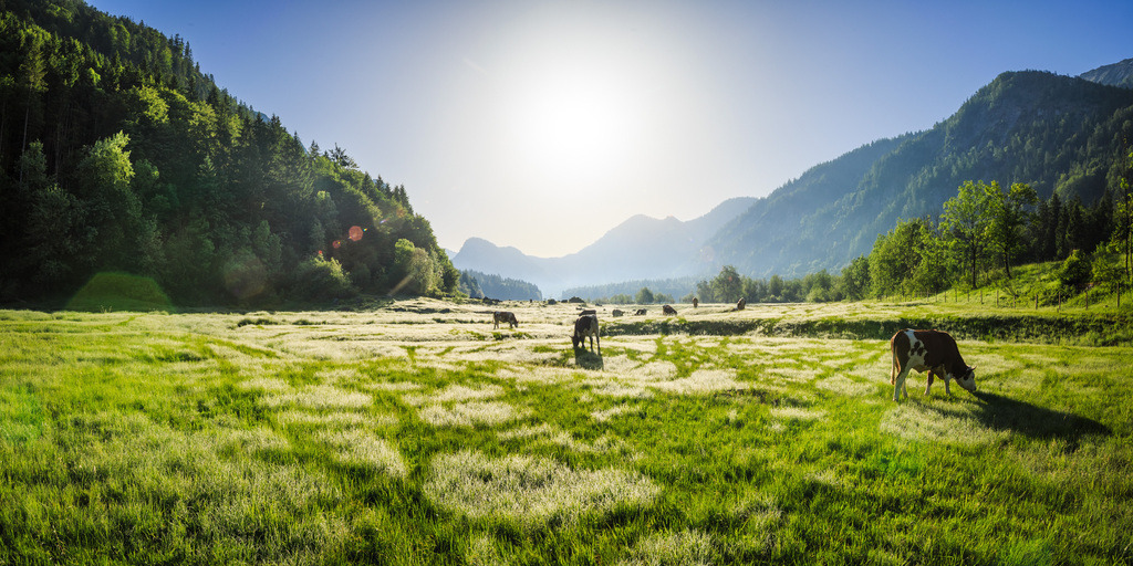 NQ8A2584-HDR-Pano | ap-design // andreas plenk - Realisiert mit Pictrs.com