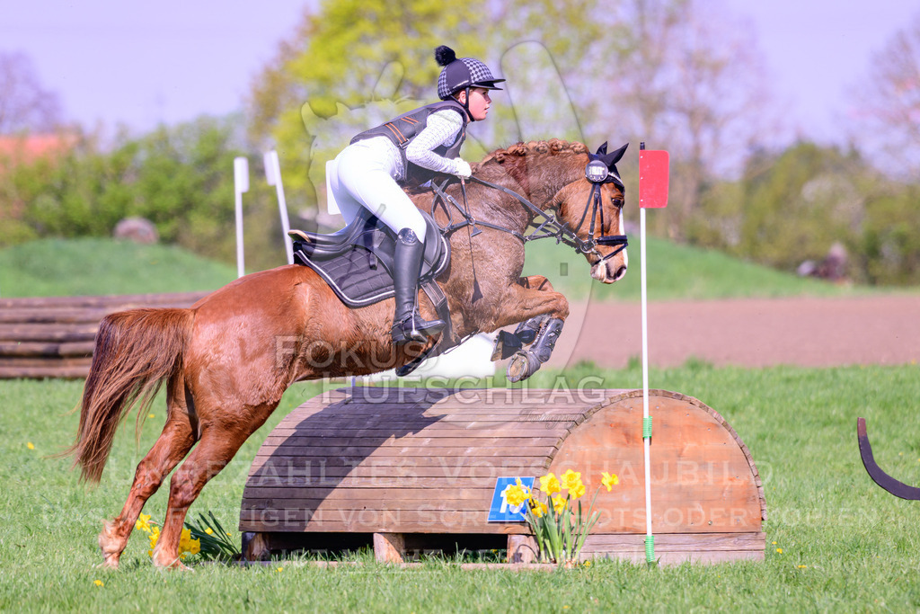 18042026-Gernlinden-04-1-0151 | Fokus Hufschlag Fotografie - Realisiert mit Pictrs.com