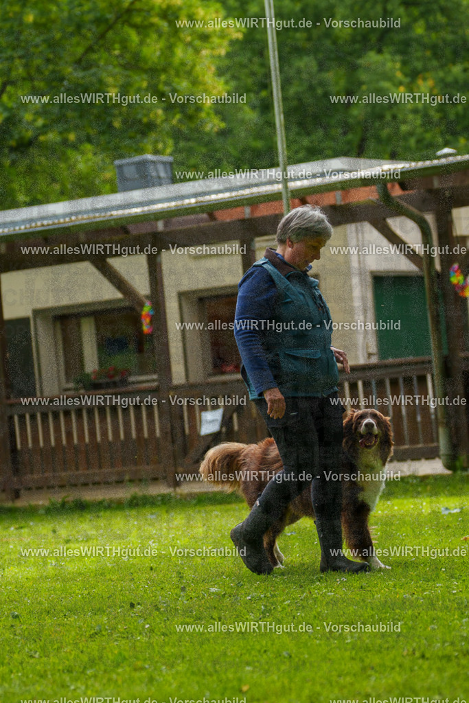 @allesWIRTHgut_Tierfotografie - www.allesWIRTHgut.de - 101226-7R508169 | Professionelle Tierfotografie in Mönchengladbach von Daniel Wirth (allesWIRTHgut). Liebevolle & natürliche Bilder von Hunden & Katzen für unvergessliche Erinnerungen.