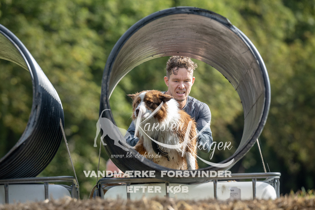 0929_ZZ90457 | kk-dogfotos