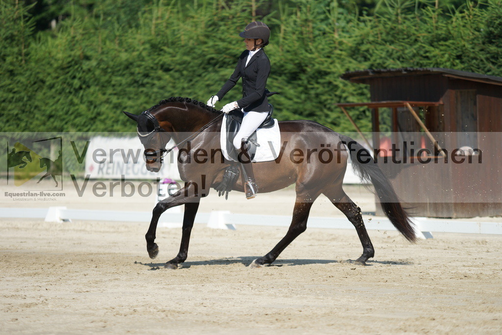DSC01386 | equestrian-live-com