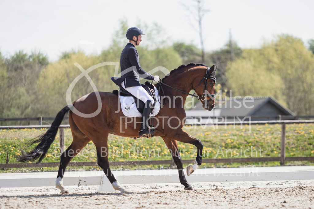 250416_Dressurpferde-L-235 | Deine schönsten Turniermomente als professionelle Fotos! Entdecke hochwertige Pferdesport-Fotografie im Online-Shop. Jetzt Fotos finden & bestellen!