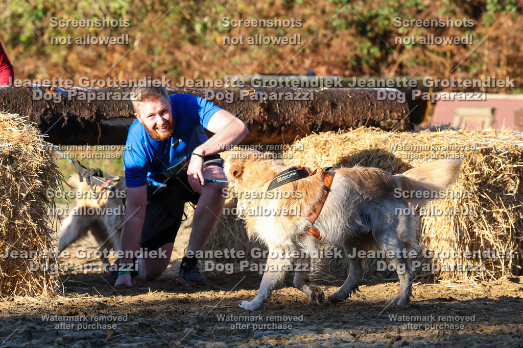 Dog Paparazzi - Strongdog 10-25-880 | Dog Paparazzi Jeanette Grottendiek Fotografie & Videografie - Realisiert mit Pictrs.com