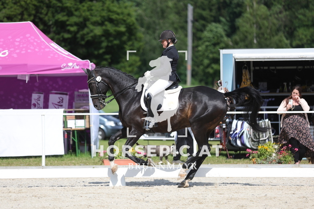 0P6A2059 | Willkommen bei Brunnmayr - Design & Fotografie – Ihrem Spezialisten für Reitturniere und Pferdeveranstaltungen in Oberösterreich, Salzburg und Bayern! Seit über 17 Jahren sind wir leidenschaftlich dabei.