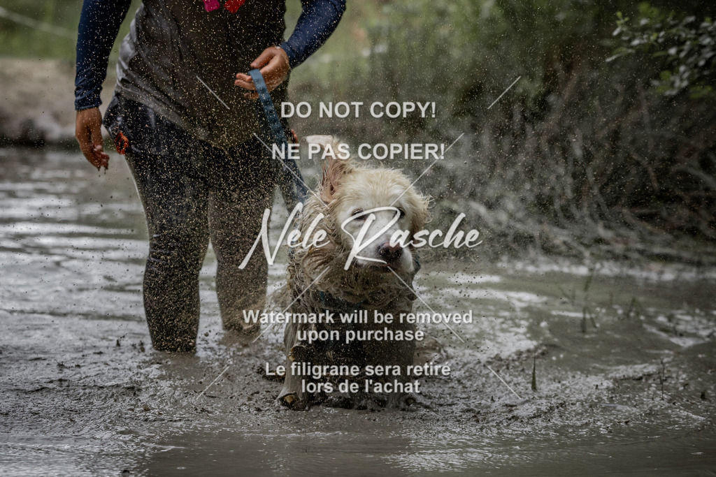 nelerasche_so0800-0930_475 | nelerasche