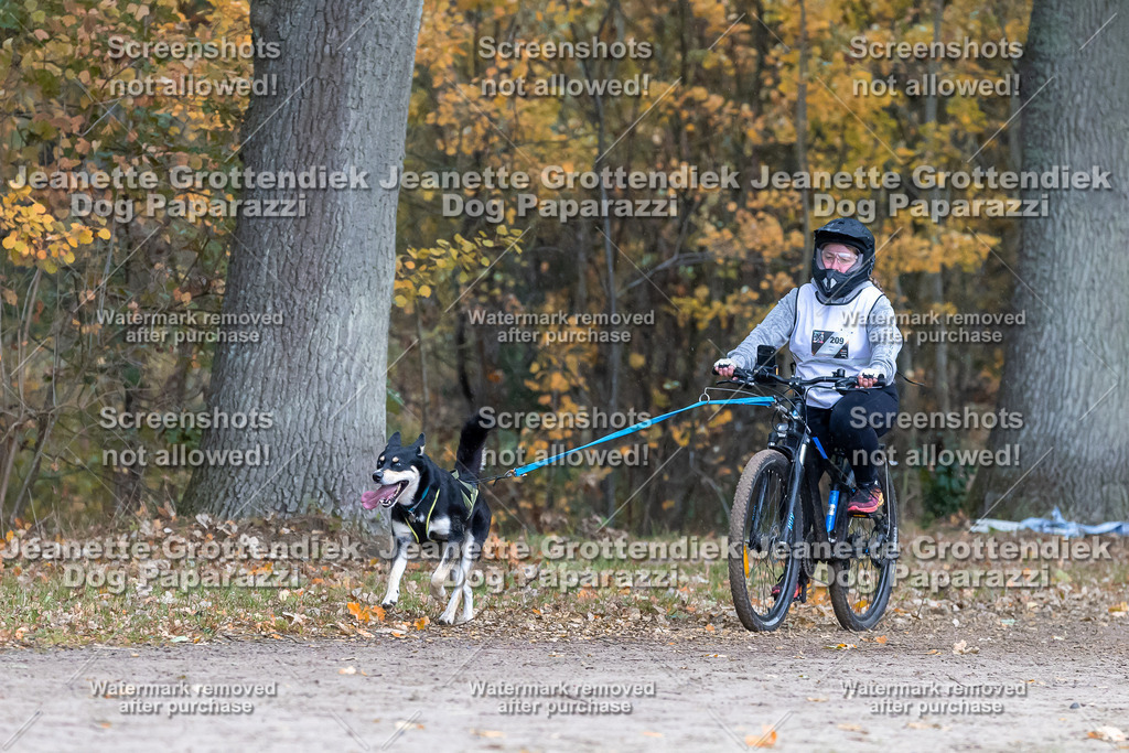 Dog Paparazzi - SD CaniX Championship 2025-198 | Dog Paparazzi Jeanette Grottendiek Fotografie & Videografie - Realisiert mit Pictrs.com