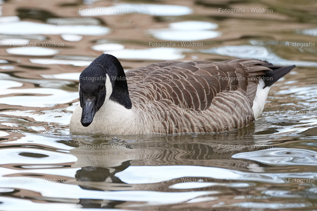2023028. Nürnberg-34 | Fotografie Woldron