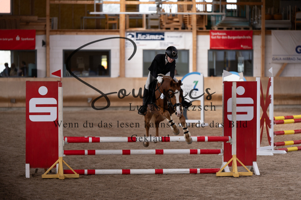 A7507383 | Pferdefotograf