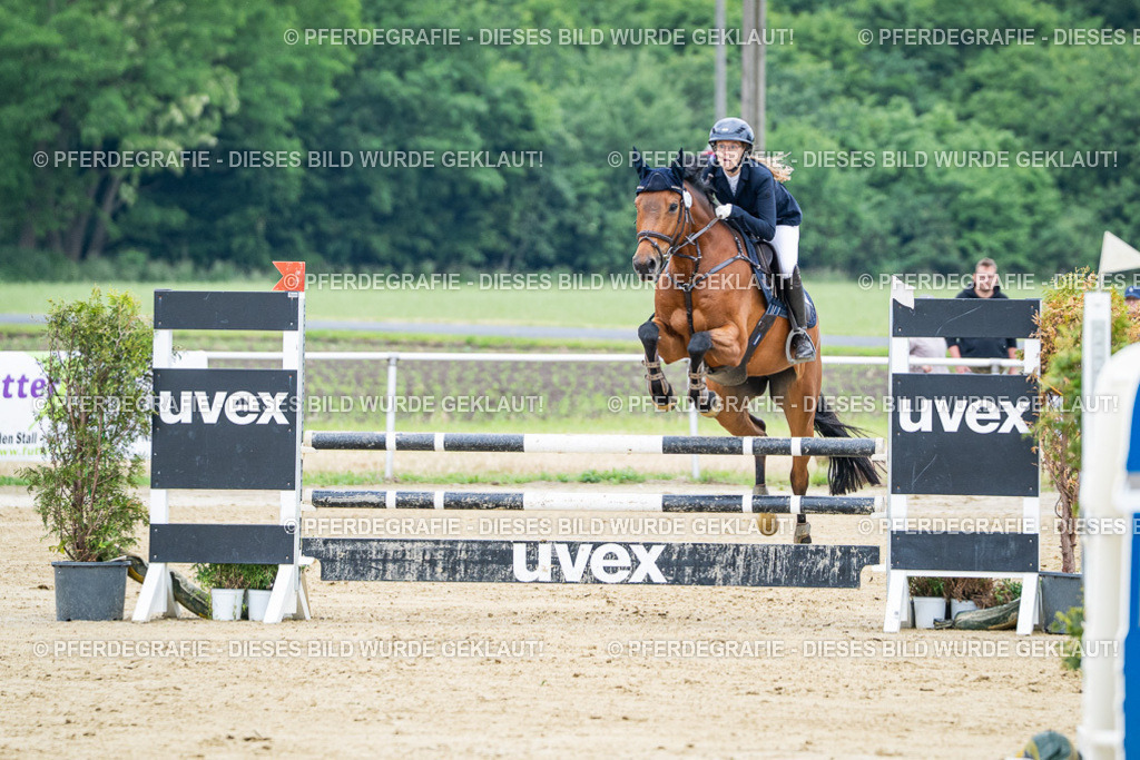 DSC03728 | Pferdegrafie