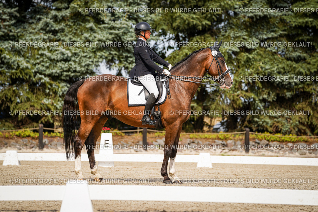 DSC06538 | Pferdegrafie