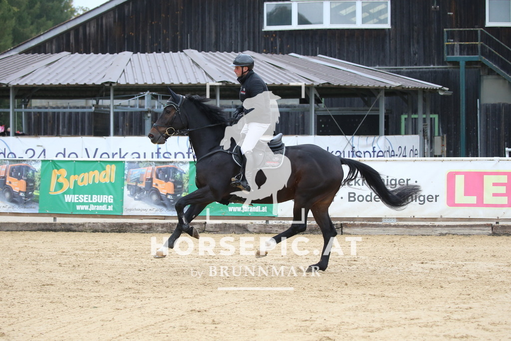 DL2Q1621 | Willkommen bei Brunnmayr - Design & Fotografie – Ihrem Spezialisten für Reitturniere und Pferdeveranstaltungen in Oberösterreich, Salzburg und Bayern! Seit über 17 Jahren sind wir leidenschaftlich dabei.