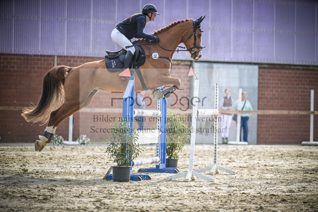 DOS_2742 | Entdecke hochwertige Reitturnierfotos von Foto Oger. Professionell, emotional und authentisch – jetzt Lieblingsmomente im Shop bestellen.Deutschlandweite Turnierfotografie. - Realisiert mit Pictrs.com
