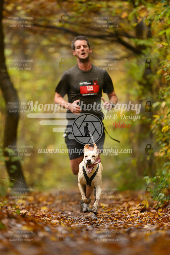 MompixPhotography_CD7S_DI_CCL-68 | mompixphotography