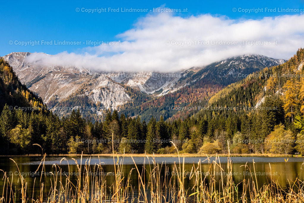 Seewiesen Duerrsee Hochschwab Herbst 24102021-0557 | Fotos und Fotoprodukte - Realisiert mit Pictrs.com