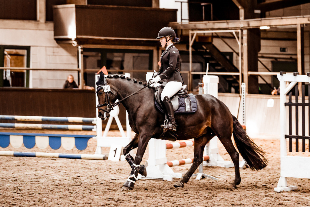 Kombi-9 | Kristin Schumacher Photography