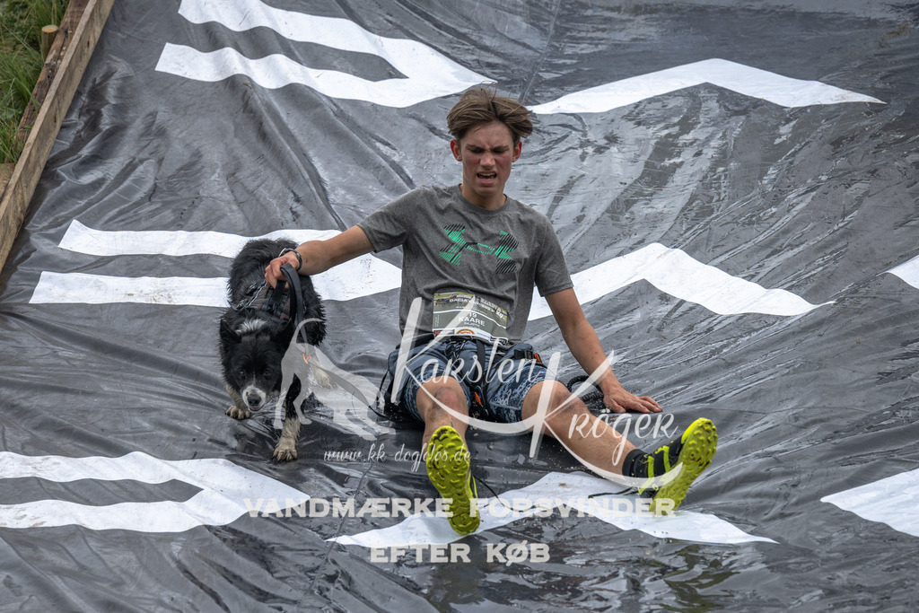 1500_ZZ91736 | kk-dogfotos