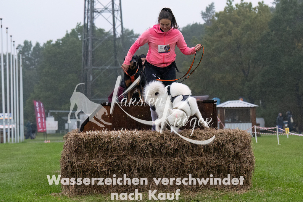 0947-_ZZ94674-Bearbeitet | kk-dogfotos