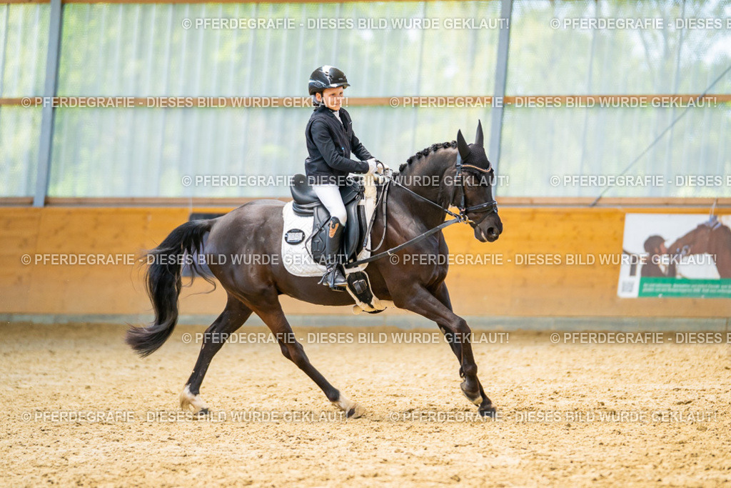 DSC08966 | Pferdegrafie