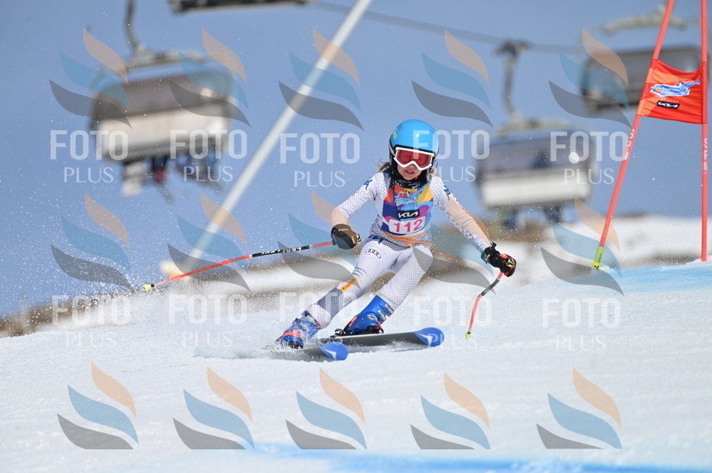 BGV_9658 | holidayphoto