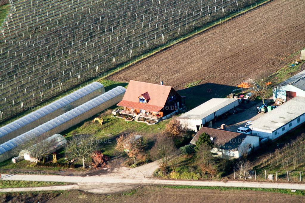 Luftbild: Zapf in Kandel im Bundesland Rheinland-Pfalz in Deutschland. Foto: IMG_0154.jpg vom 10.12.2005 durch Werner Riehm/FLY-FOTO.de