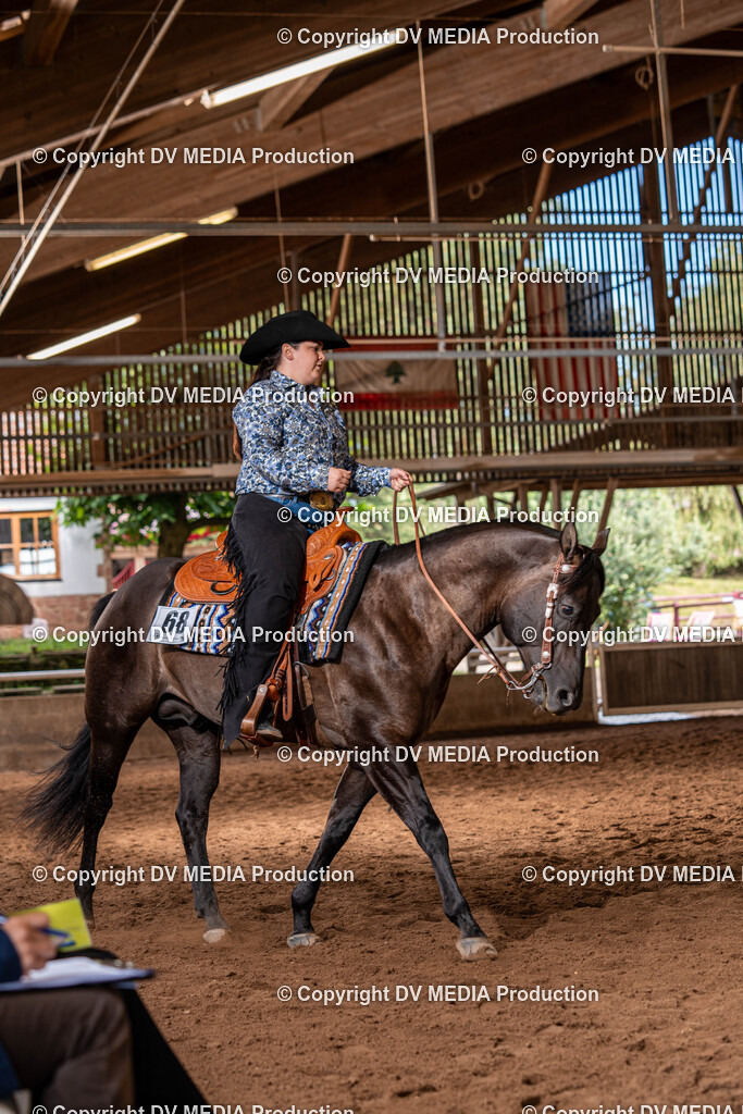 Erbach Tag 2-277 | dv-media-shop - Realisiert mit Pictrs.com