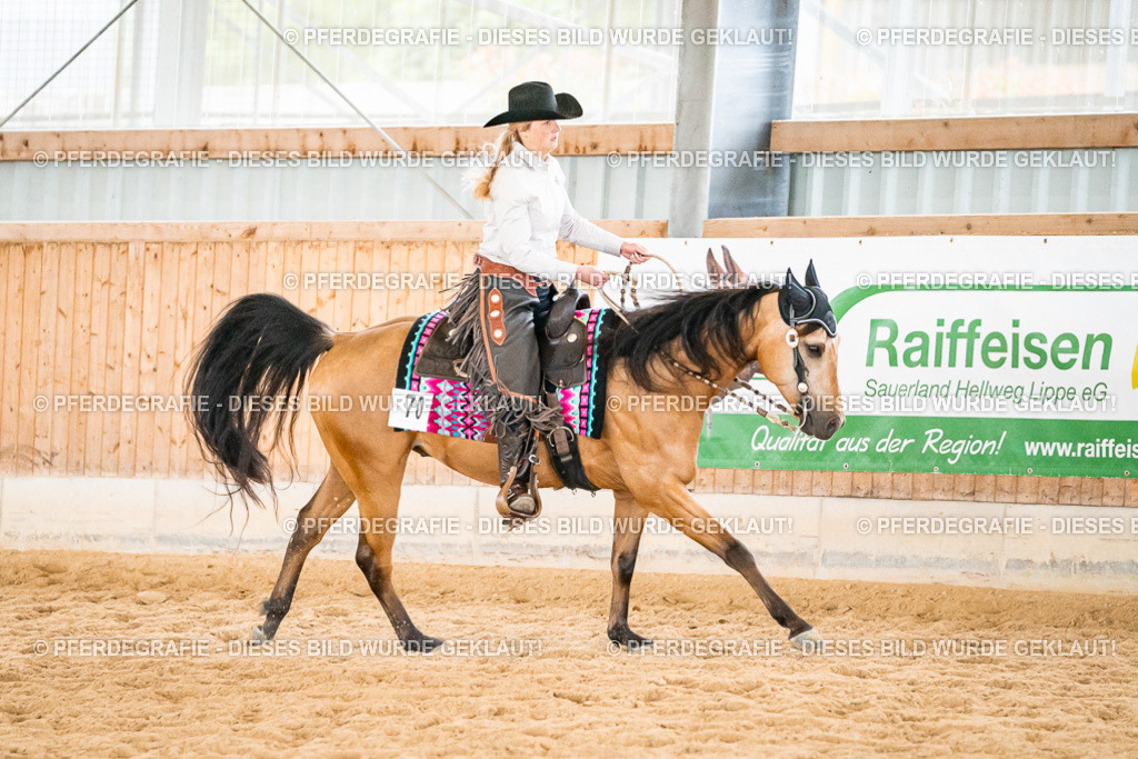 DSC01066 | Pferdegrafie