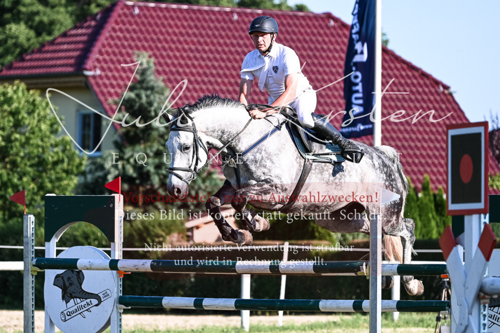 DSC_2641 | Pferde- und Turnierfotografie in Westsachsen. Pferdeportraits, Auftragszeichnungen und intuitive Kunst.