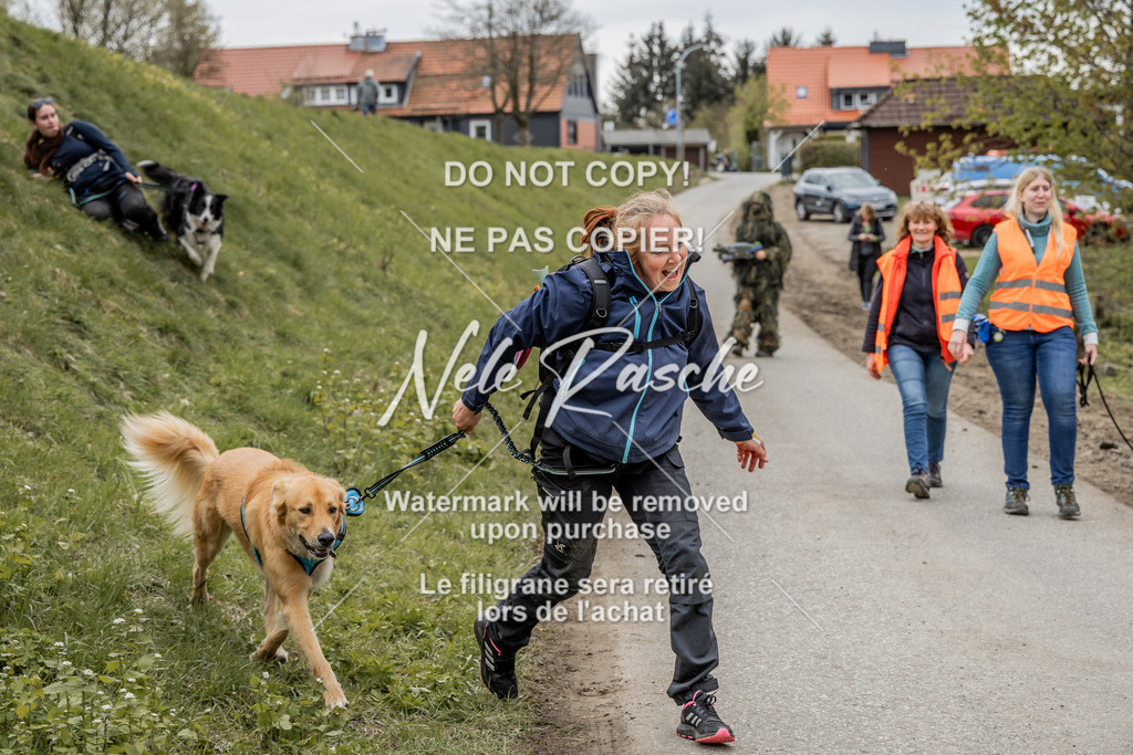 NR__2989 | nelerasche