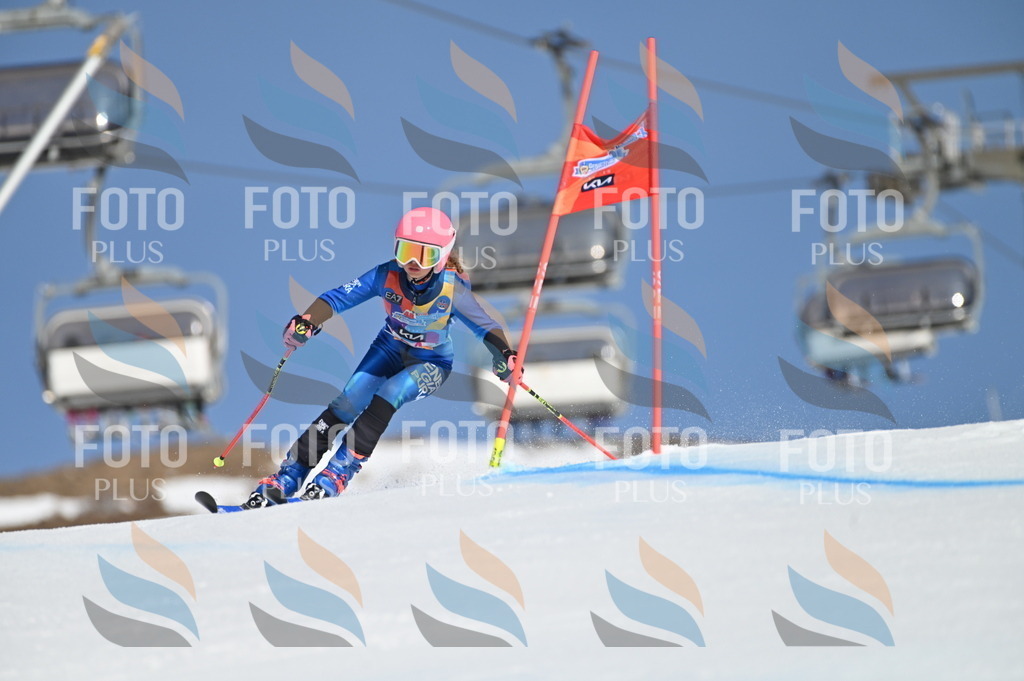 BGV_8210 | holidayphoto