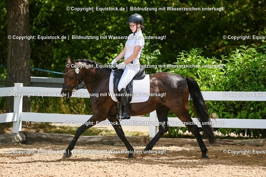 20230715_09_Dressur-WB_0226 | equistock