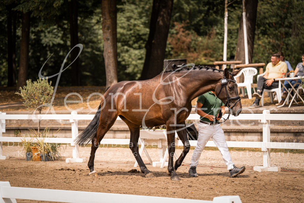 3.Fr00128 | Leoni Ertmer Photography - Realisiert mit Pictrs.com